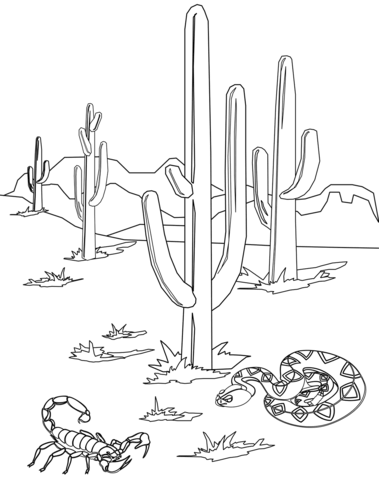 Desert Animals Coloring Page